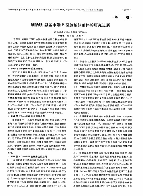 脑钠肽 氨基末端B型脑钠肽前体的研究进展