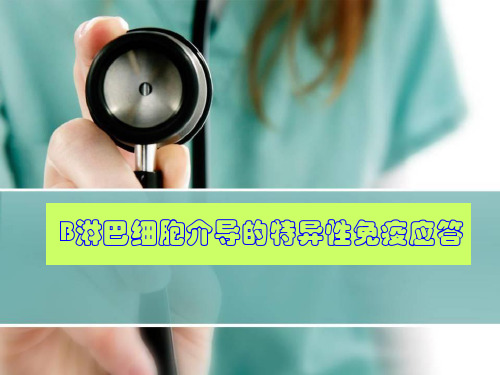 医学免疫学-B淋巴细胞介导的特异性免疫应答PPT医学课件