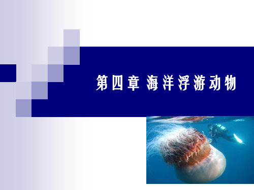 04第四章-海洋浮游动物