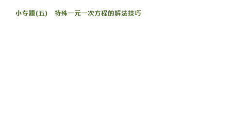 小专题5 特殊一元一次方程的解法技巧