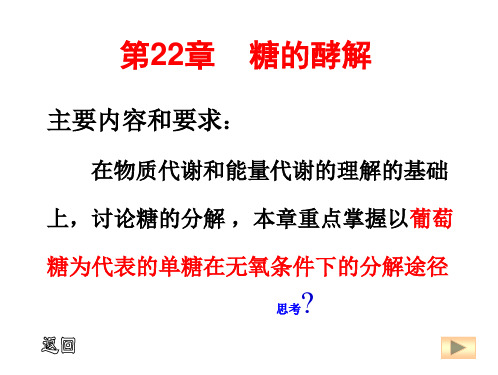 糖酵解