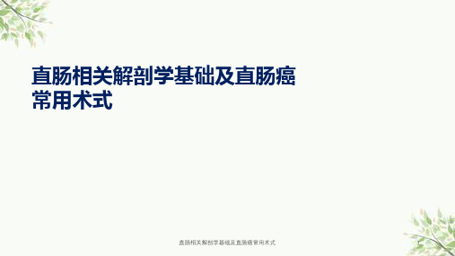 直肠相关解剖学基础及直肠癌常用术式课件