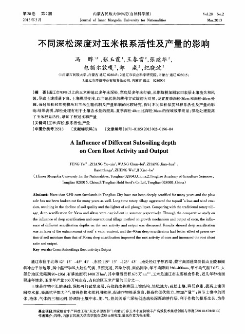 不同深松深度对玉米根系活性及产量的影响