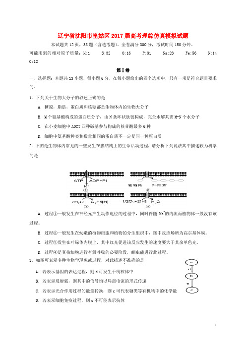辽宁省沈阳市皇姑区高考理综仿真模拟试题