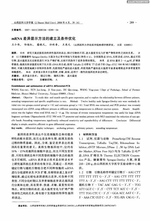 mRNA差异显示方法的建立及条件优化