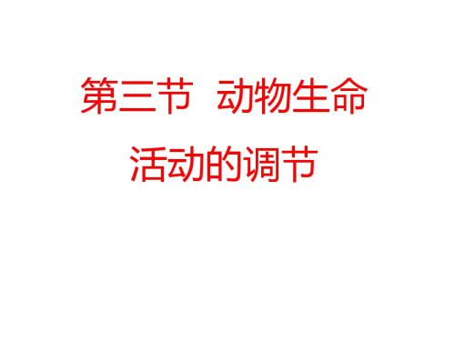 动物生命活动的调节