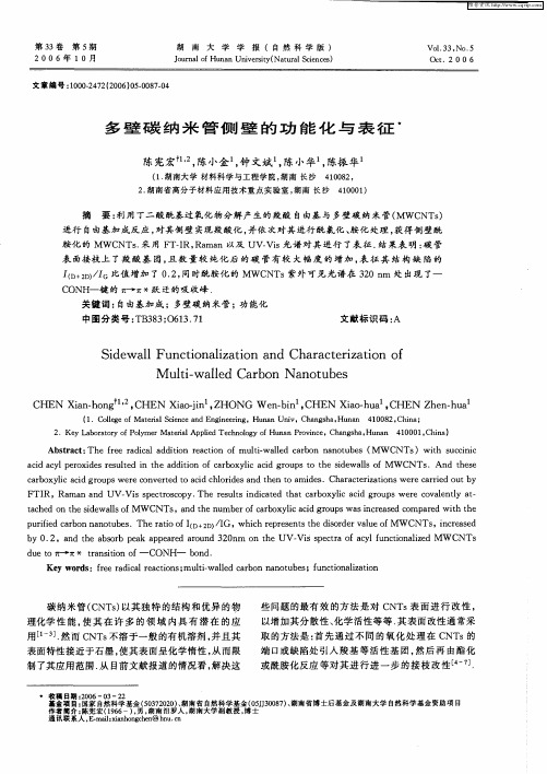 多壁碳纳米管侧壁的功能化与表征