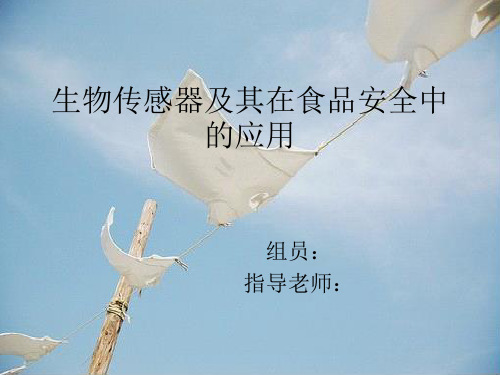 生物传感器及其在食品安全中的应用