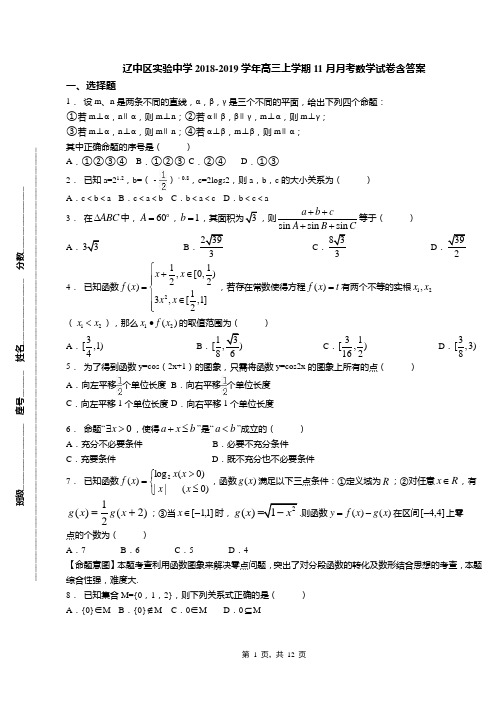 辽中区实验中学2018-2019学年高三上学期11月月考数学试卷含答案
