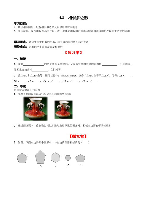北师大版九年级上册数学 4.3 相似多边形 学案