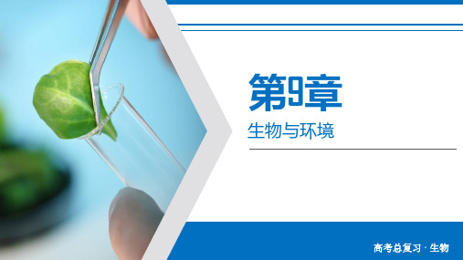 高考生物第九章-生态系统的能量流动与物质循环-课件