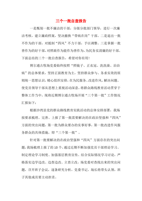 三个一批自查报告