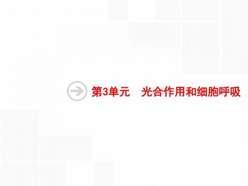 苏教版高三生物一轮复习(课件 考点规范练 单元质检卷)第3单元：光合作用和细胞呼吸ppt 苏教版