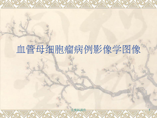中枢神经系统血管母细胞瘤的影像学图像ppt课件