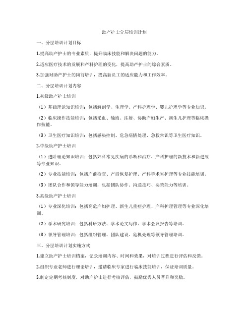 助产护士分层培训计划