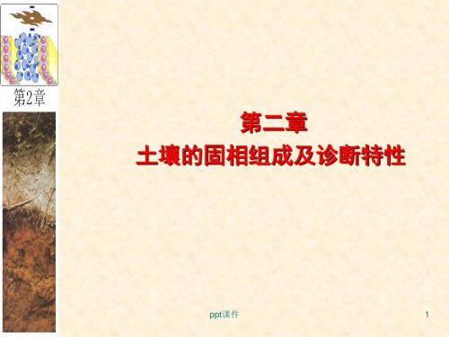 土壤固相组成及其诊断特性  ppt课件