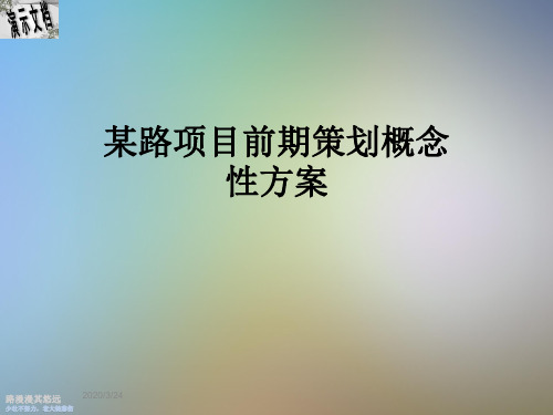 某路项目前期策划概念性方案