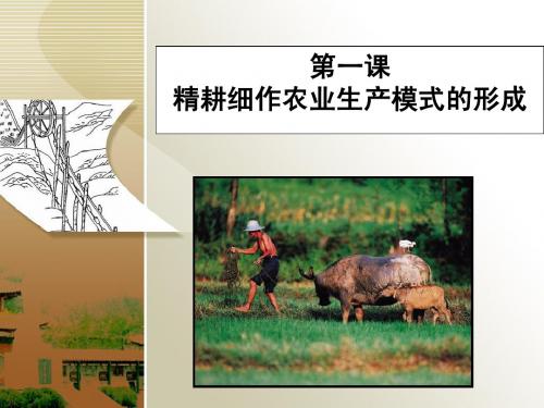 第1课  精耕细作农业生产模式的形成