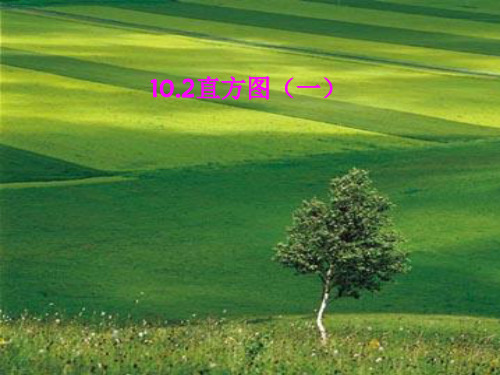 《直方图》_课件-下载