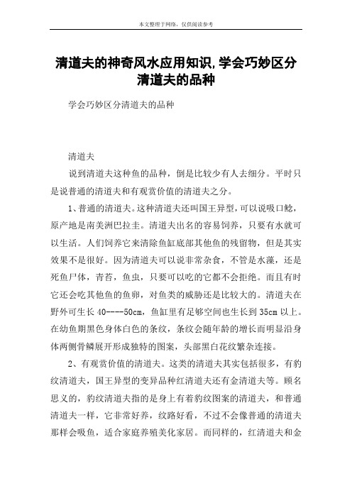 清道夫的神奇风水应用知识,学会巧妙区分清道夫的品种