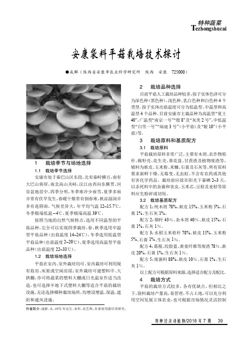 安康袋料平菇栽培技术探讨