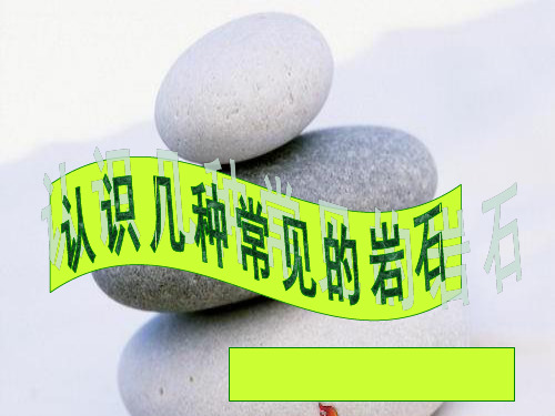 四年级下册科学认识几种常见的岩石教科版