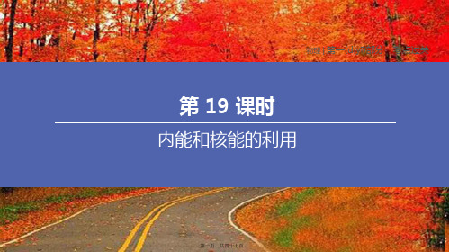 中考物理复习方案 第19课时 内能和核能的利用课件