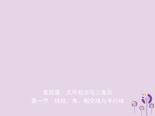 潍坊专版2019中考数学复习第1部分第四章几何初步与三角形第一节线段角相交线与平行线课件.ppt