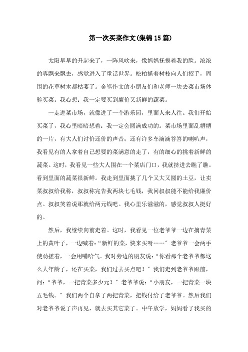 中小学第一次买菜作文(集锦15篇)