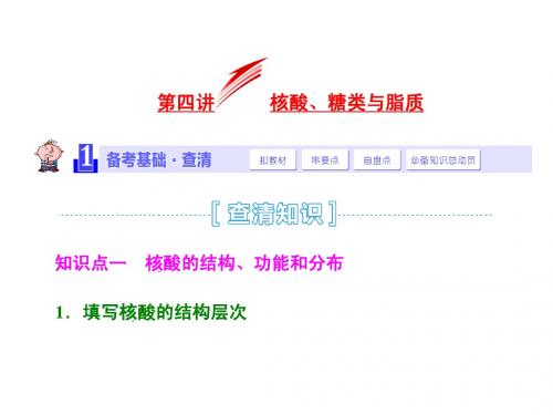 2015届《三维设计》高考生物一轮精品课件：1.1.4核酸、糖类与脂质