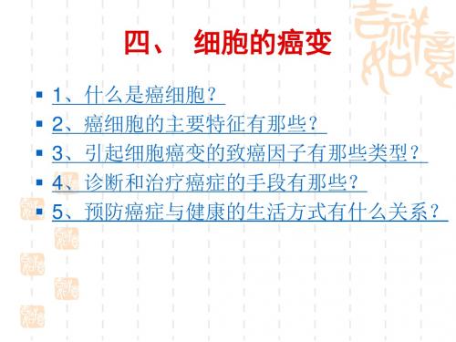 高中生物课件 细胞的癌变.ppt