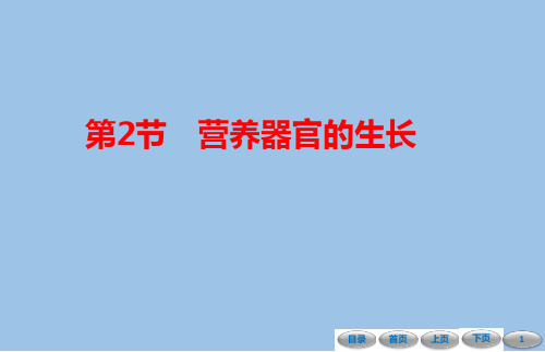 6.2 营养器官的生长-课件-2021-2022学年北师大版七年级生物上册