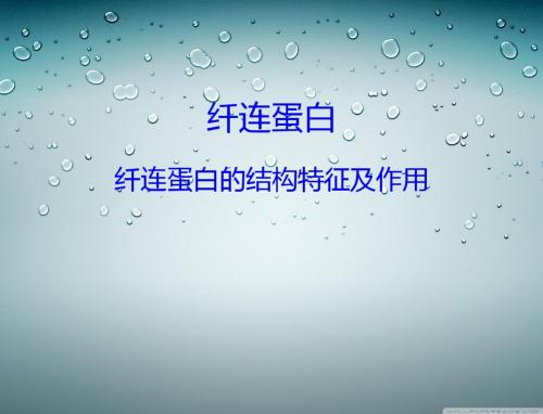 纤连蛋白的结构特征及作用