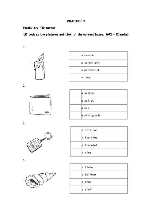 新加坡小学英语试卷一年级PRACTICE 3