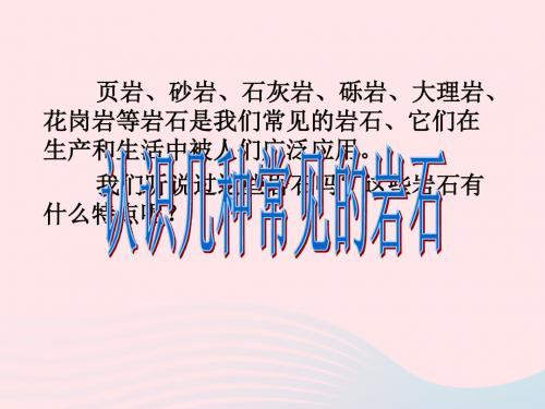 四年级科学下册 4 岩石和矿物 2 认识几种常见的岩石课