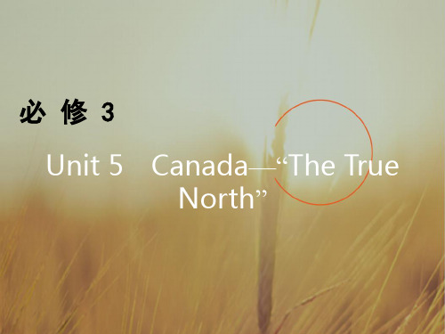 2018高考英语一轮复习课件 必修3 Unit 5 精品