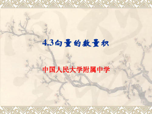 4.3向量的数量积