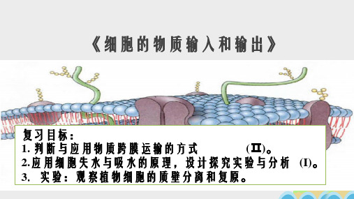 高三生物一轮复习 细胞的物质输入和输出课件