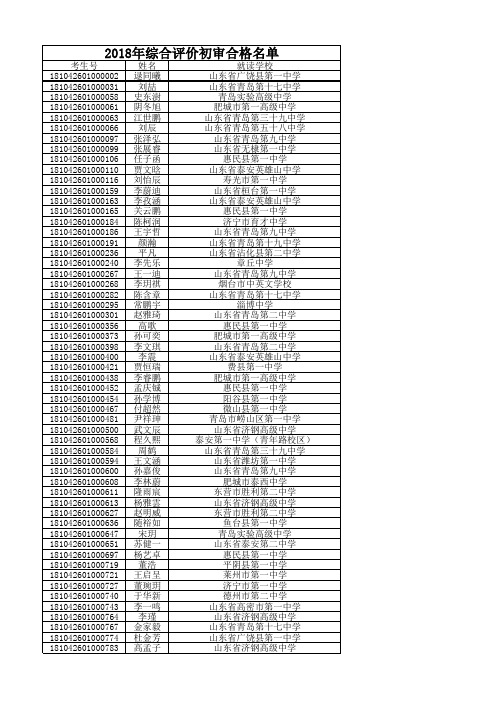 2018年综合评价初审合格名单