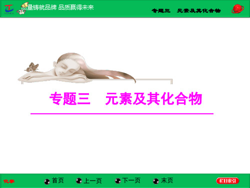 专题三  第11讲  常见有机物及其应用