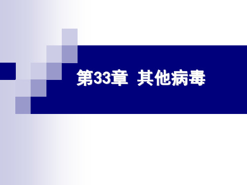 微生物学：第33章 其他病毒