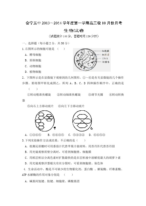 甘肃省白银市会宁五中2014届高三上学期10月月考生物试题Word版含答案