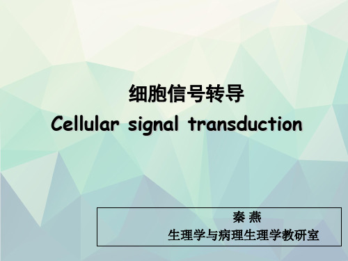 信号转导(研究生)
