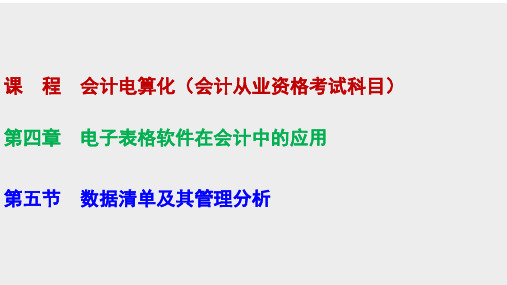 4.5 会计电算化 第四章 第五节