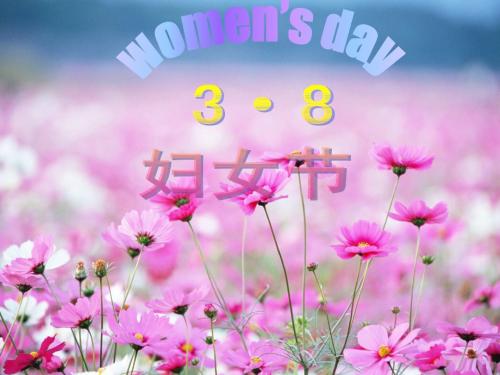 妈妈们的节日 三八妇女节