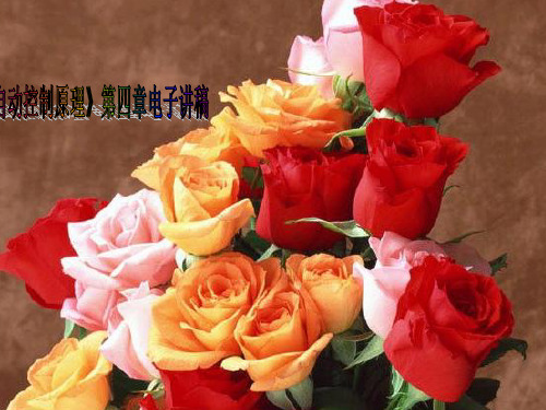 自动控制原理-4-1根轨迹法的基本概念ppt2017