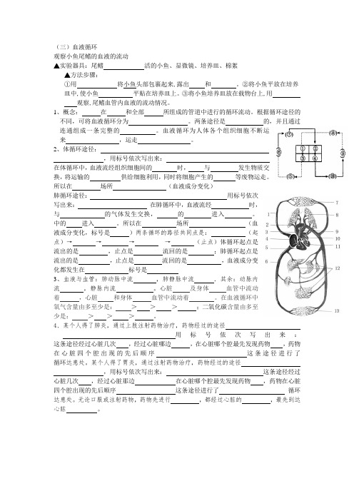 血液循环系统2基础知识检测