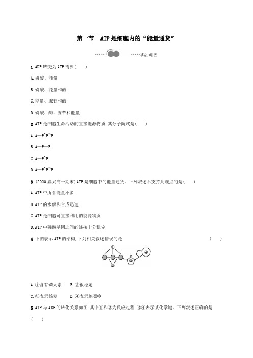 2021学年高中生物第三章细胞的代谢第一节ATP是细胞内的“能量通货”练习含解析浙科版必修一