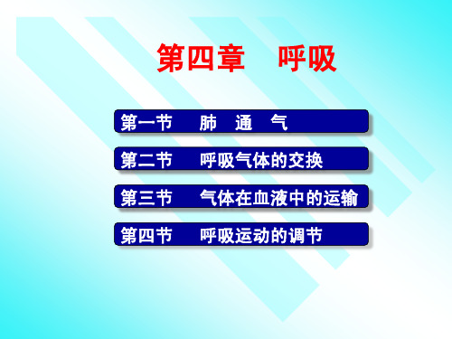 呼吸b(2版)