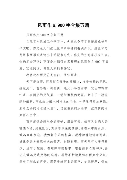 风雨作文900字合集五篇
